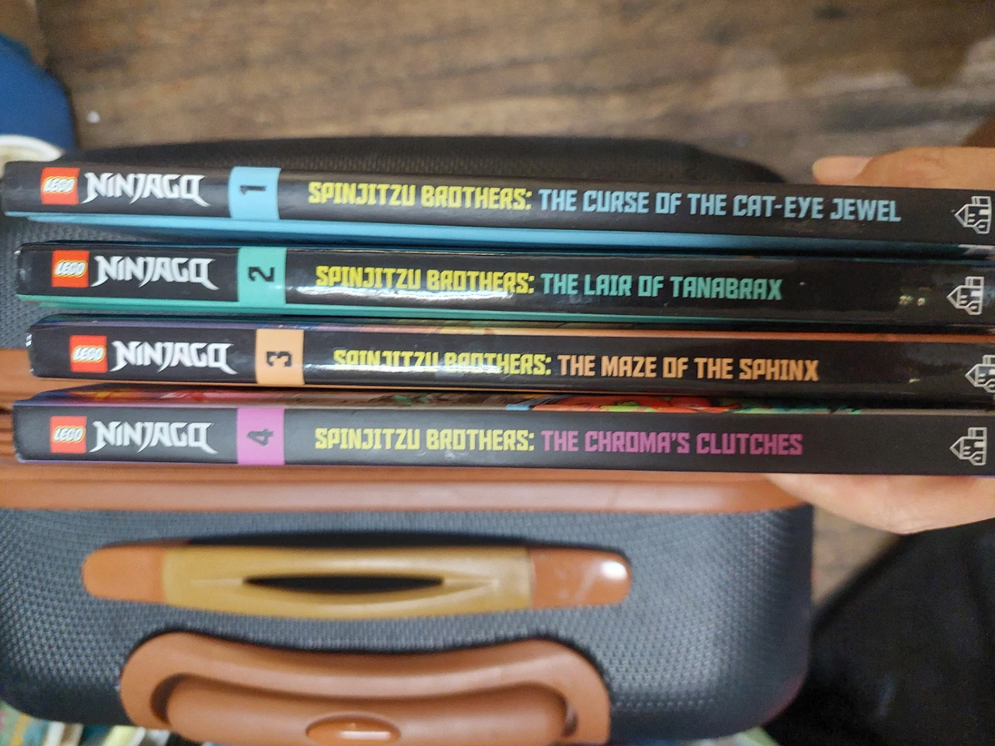 LEGO Ninjago: Spinjitzu Brothers Books (1-4)
