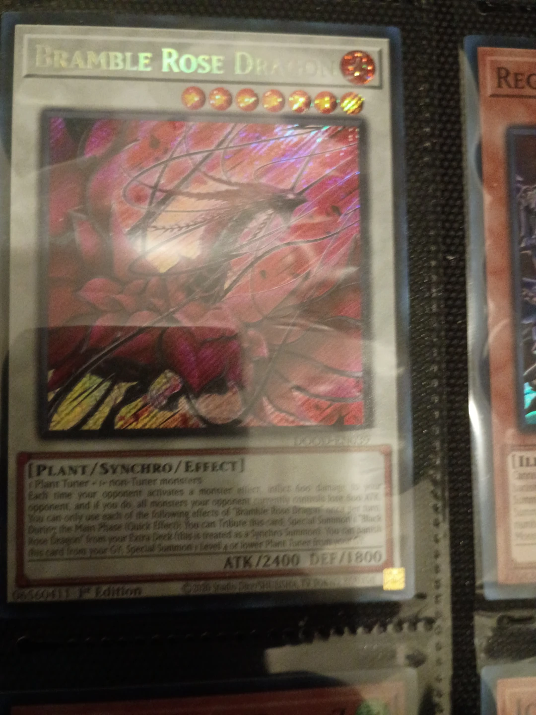 Bramble Rose Dragon Yu-Gi-Oh! Card🏈