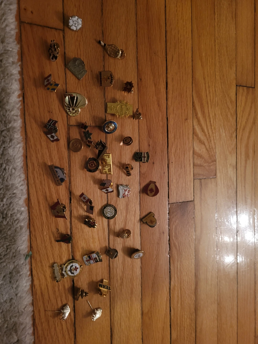 Collection of Assorted Lapel Pins