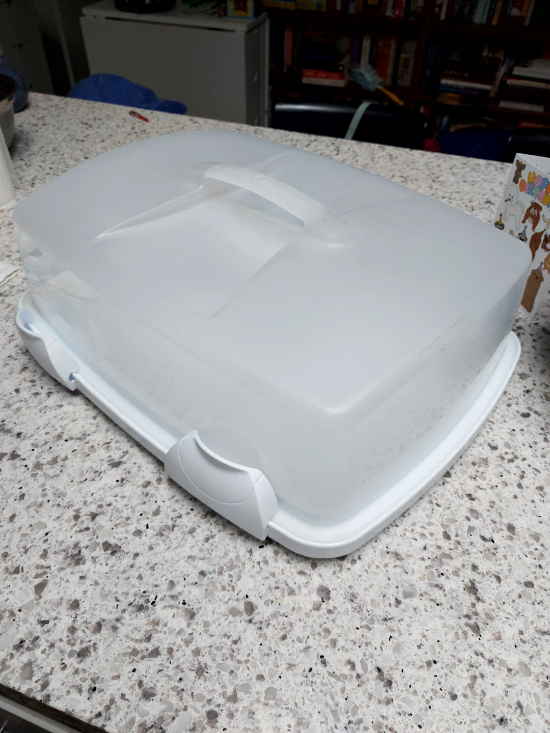 Rectangular Plastic Cake Carrier