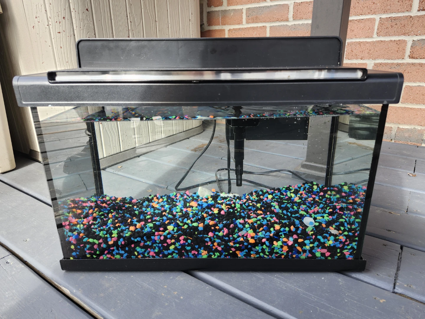 8 Gallon Fish Tank
