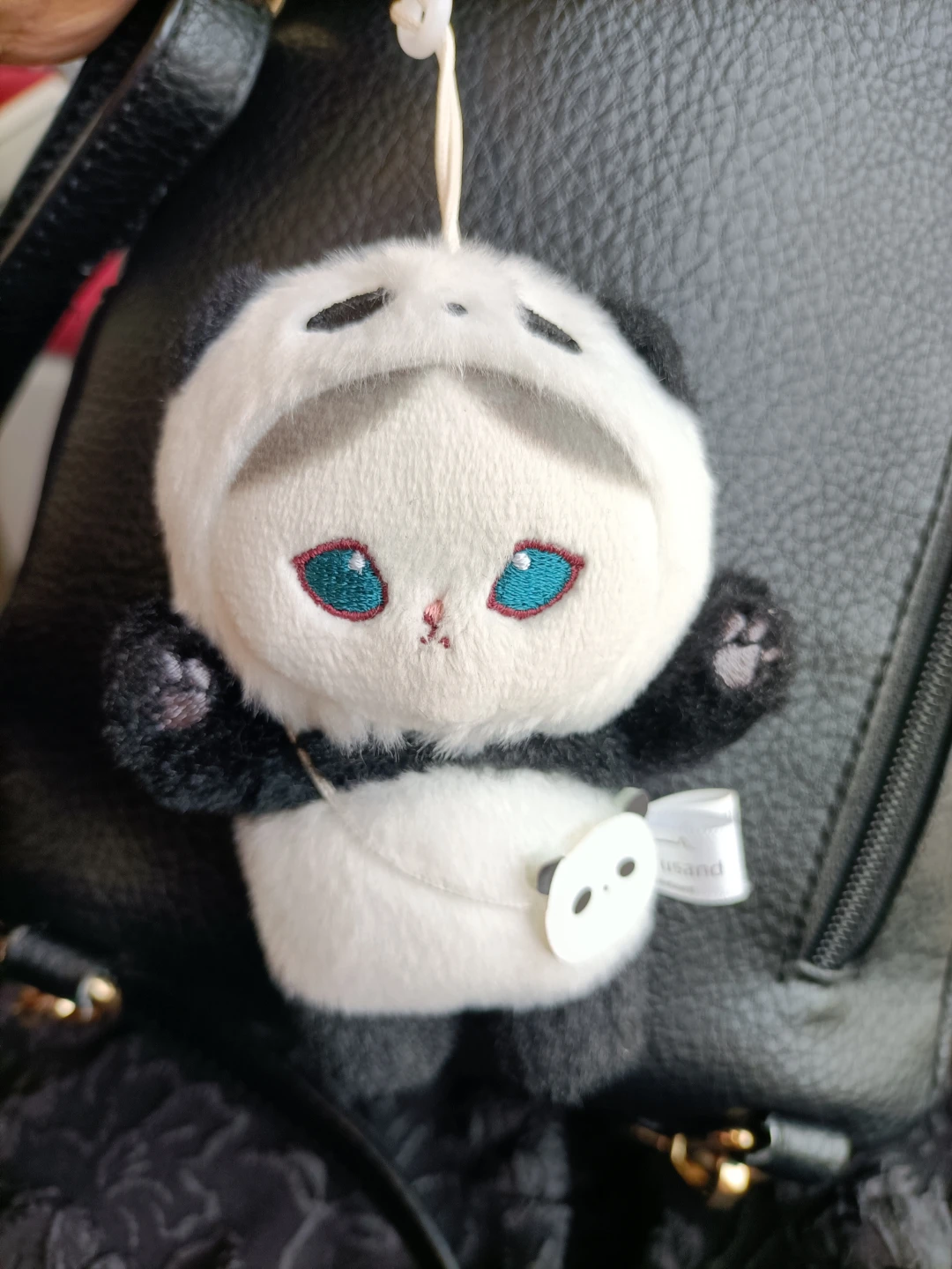 🏈Panda plushie keychain
