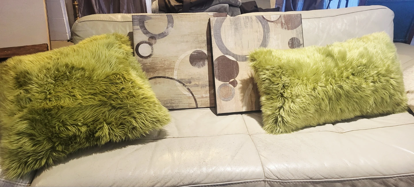 2 small wall art prints, 2 faux fur pillows
