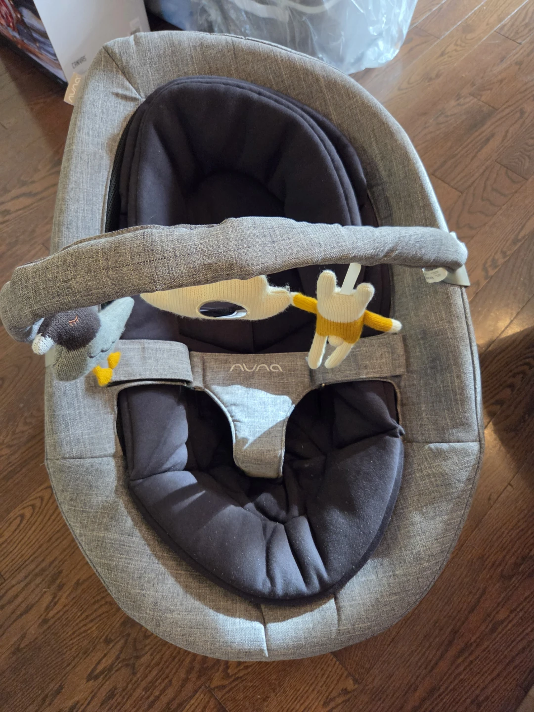 Nuna Leaf Baby Seat