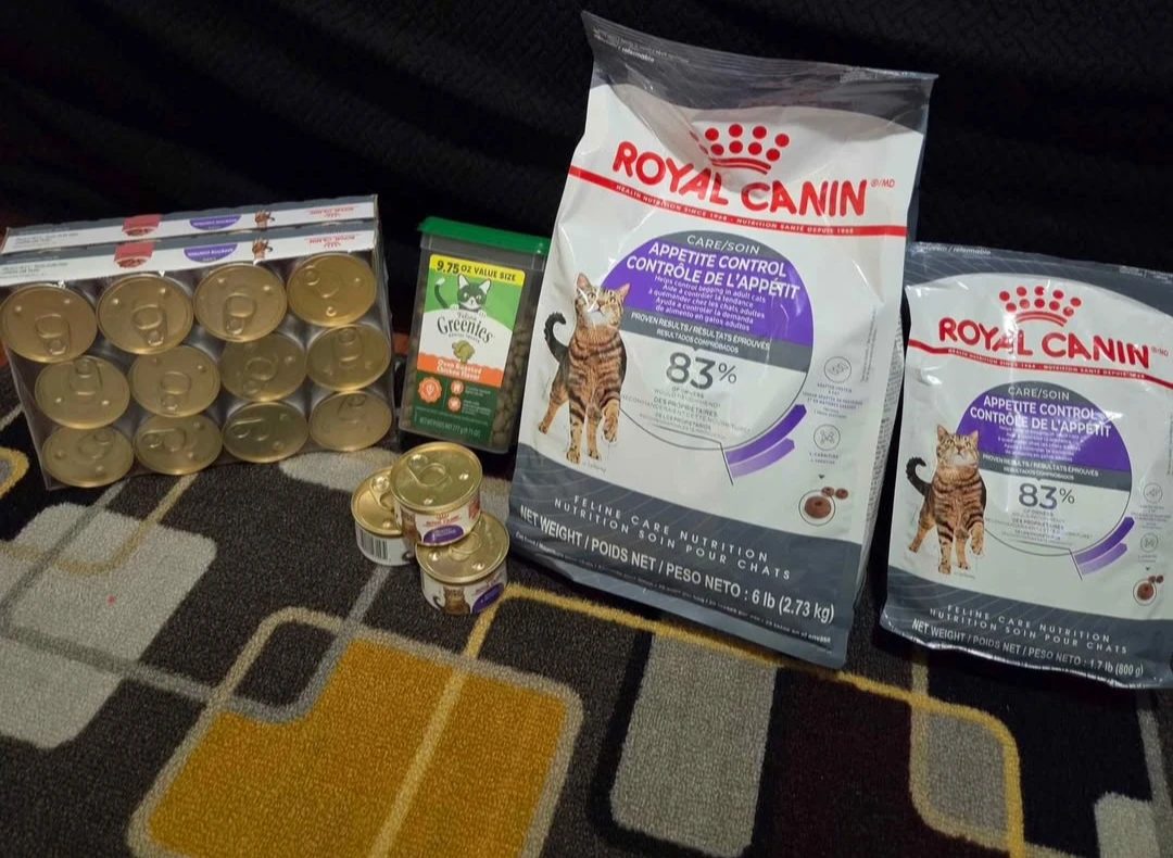 Royal Canin Appetite Control Cat Food and Greenies Treats