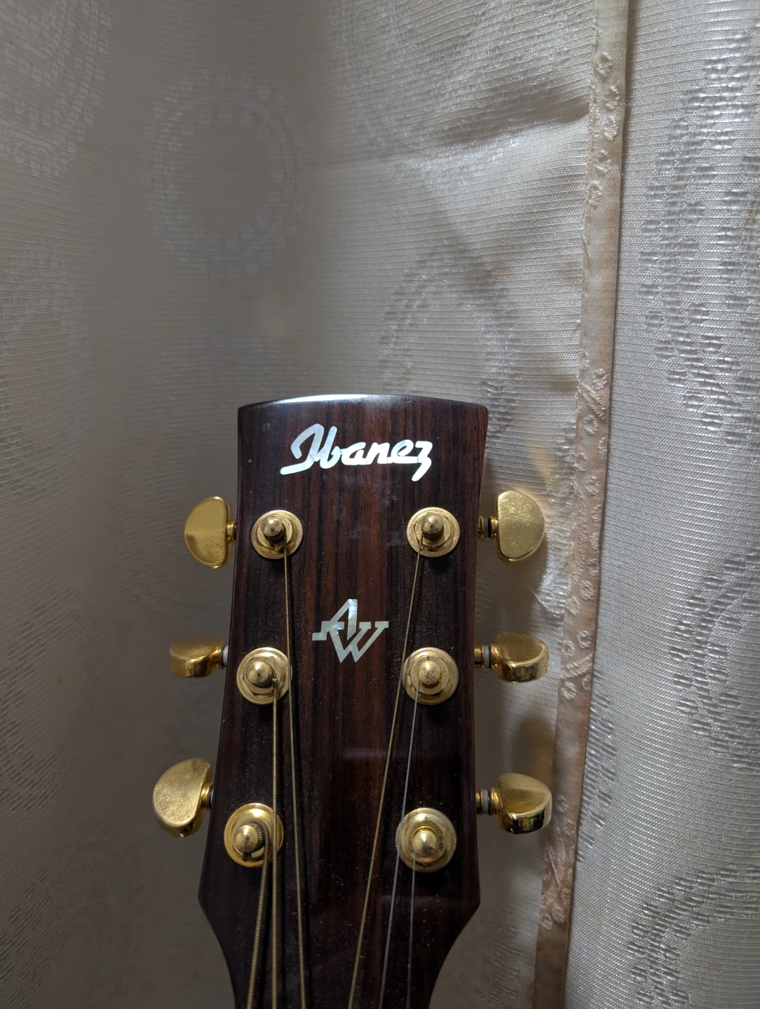 Ibanez Acoustic Electric Guitar with Gig Bag - photo 2