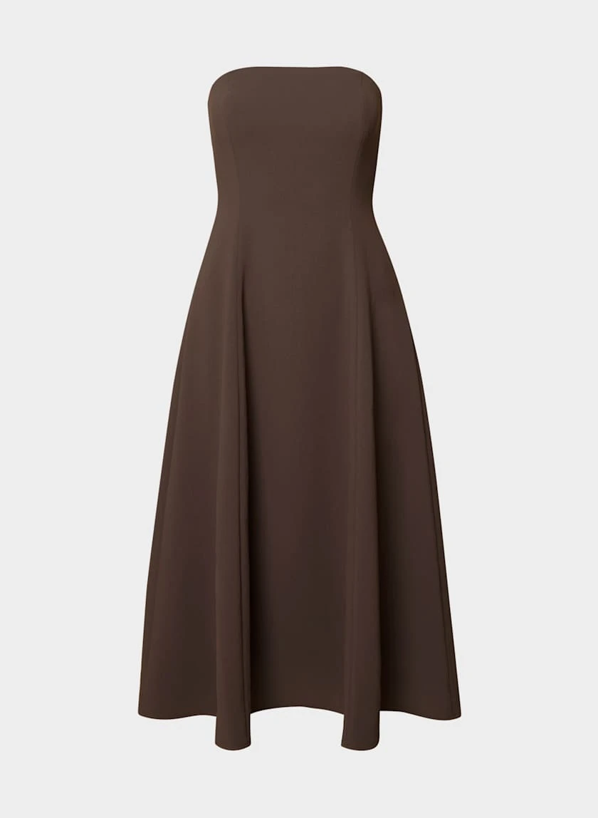 Aritzia Lightwell Strapless Dress