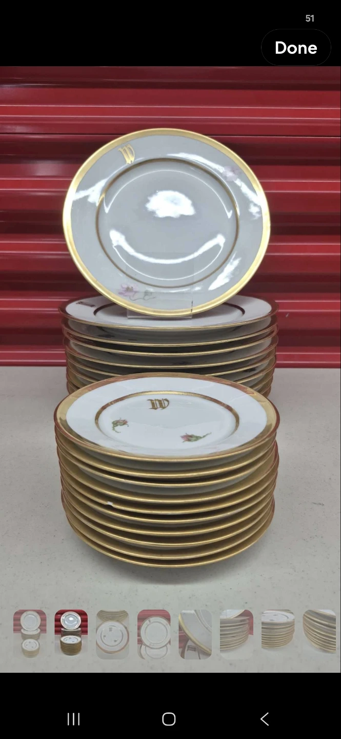 Set of 20 Vintage Limoges Floral Porcelain Plates
