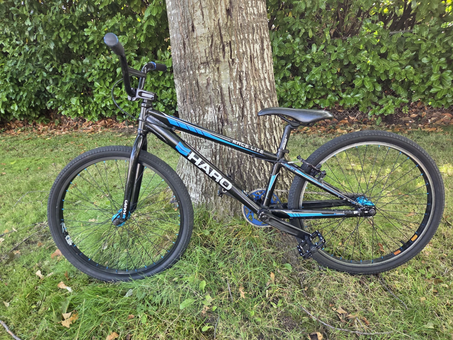 Haro Race Lite Pro 24 Cruiser BMX - photo 4