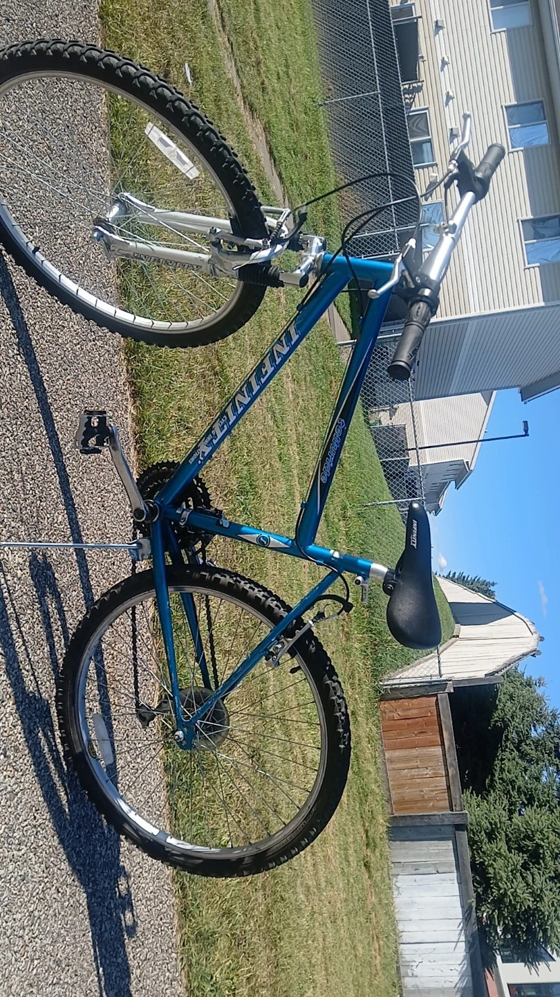 Infinity "Colorado" Mountain Bike
