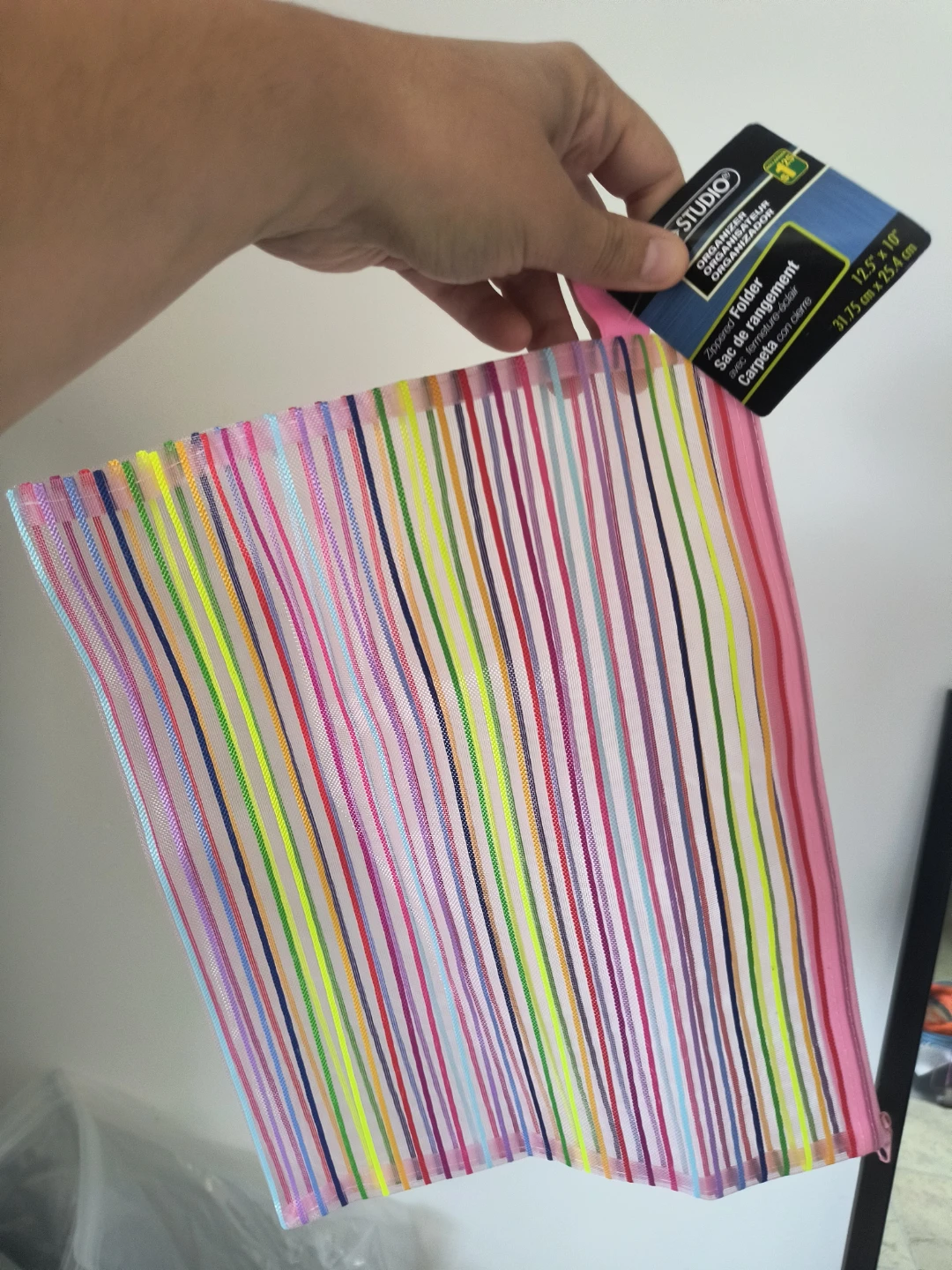 Studio Zippered Folder Organizer Rainbow Stripes 12.5" x 10"