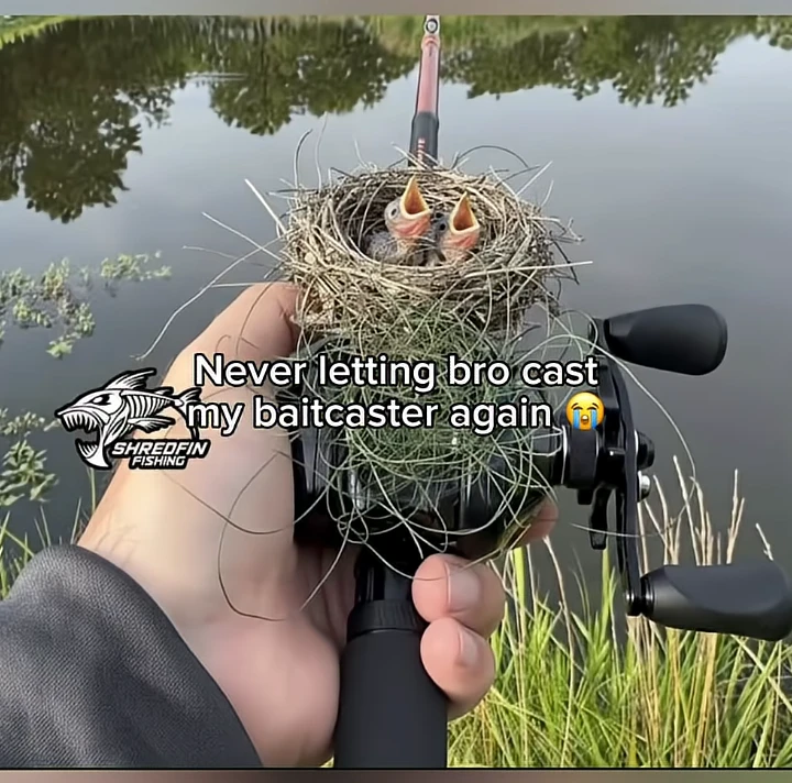 Looking For Fishing Equipment
