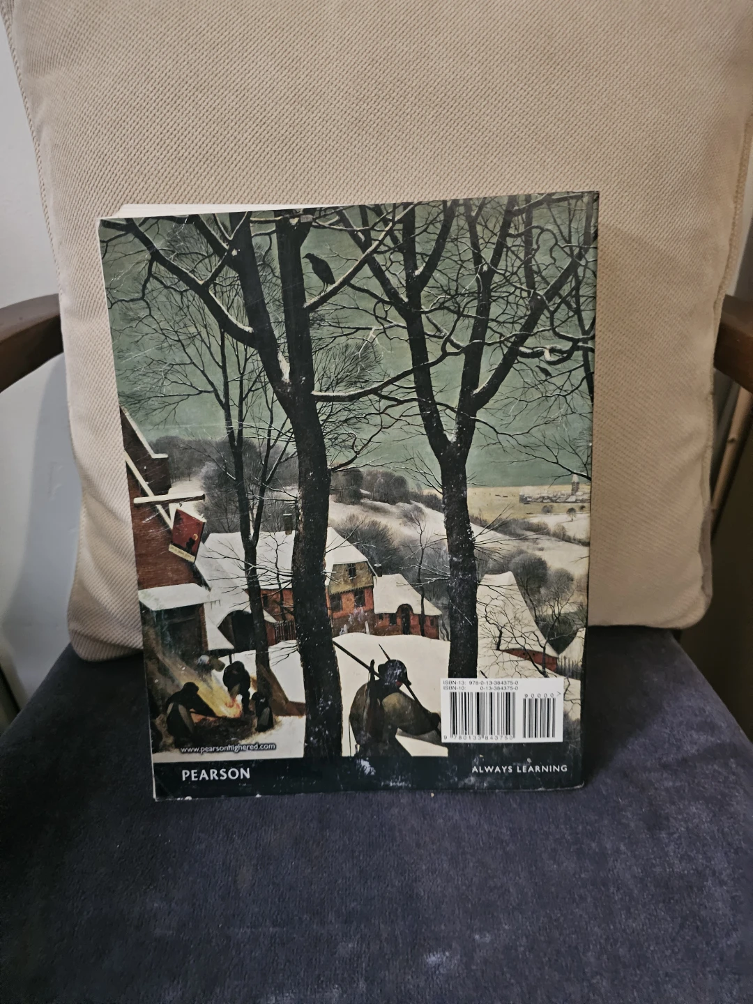 Art: A Brief History (Sixth Edition) by Marilyn Stokstad - photo 3
