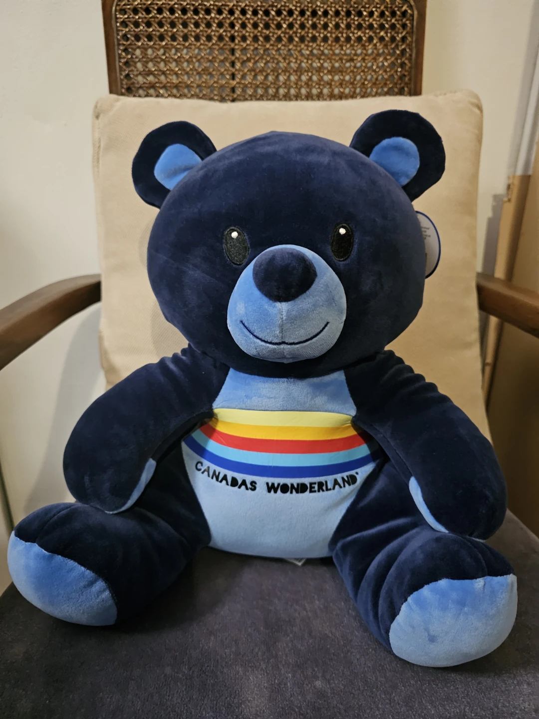 Canada's Wonderland Huggy Huggables Blue Bear