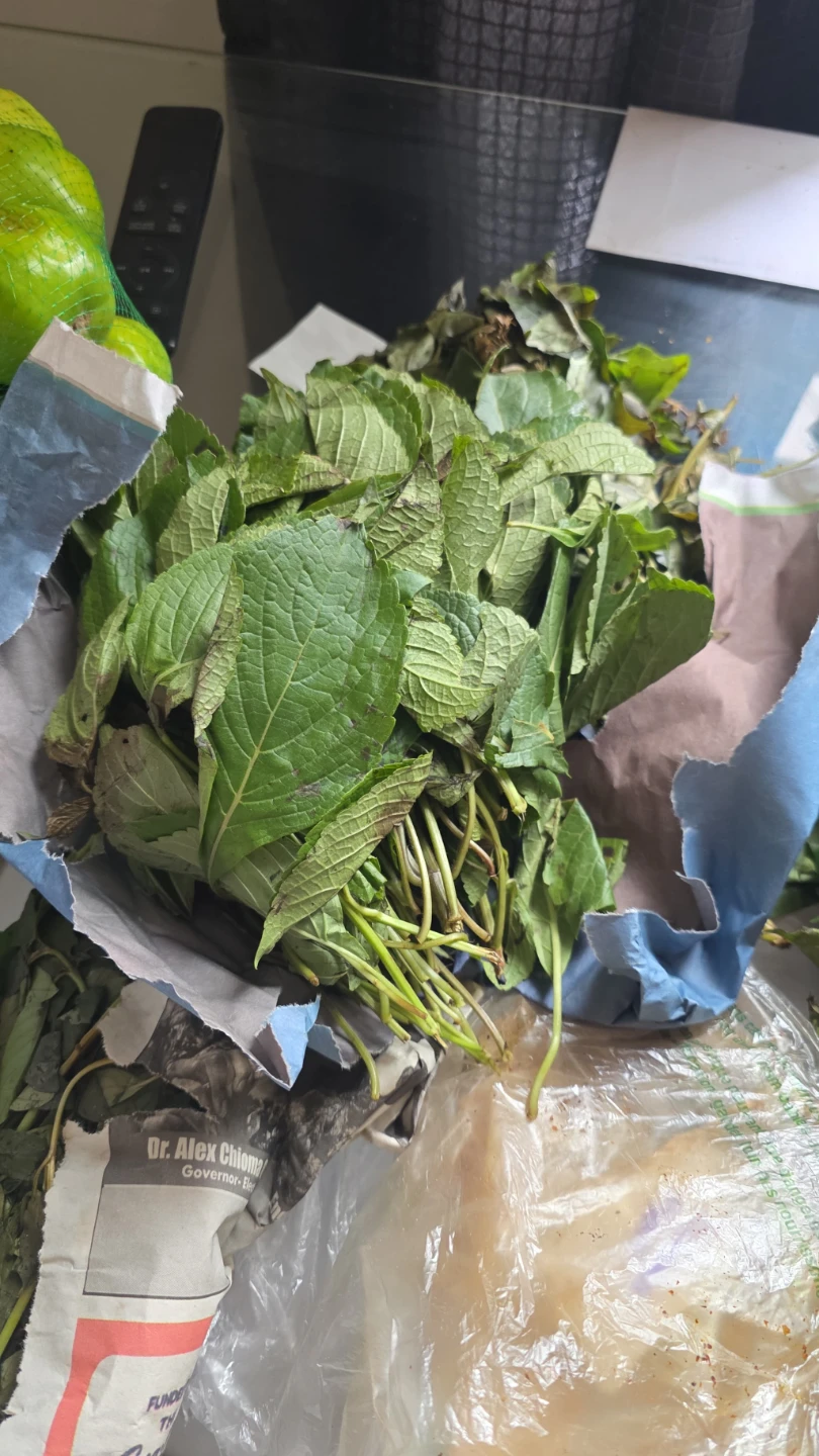 Fresh Scent Leaves (Efinrin)