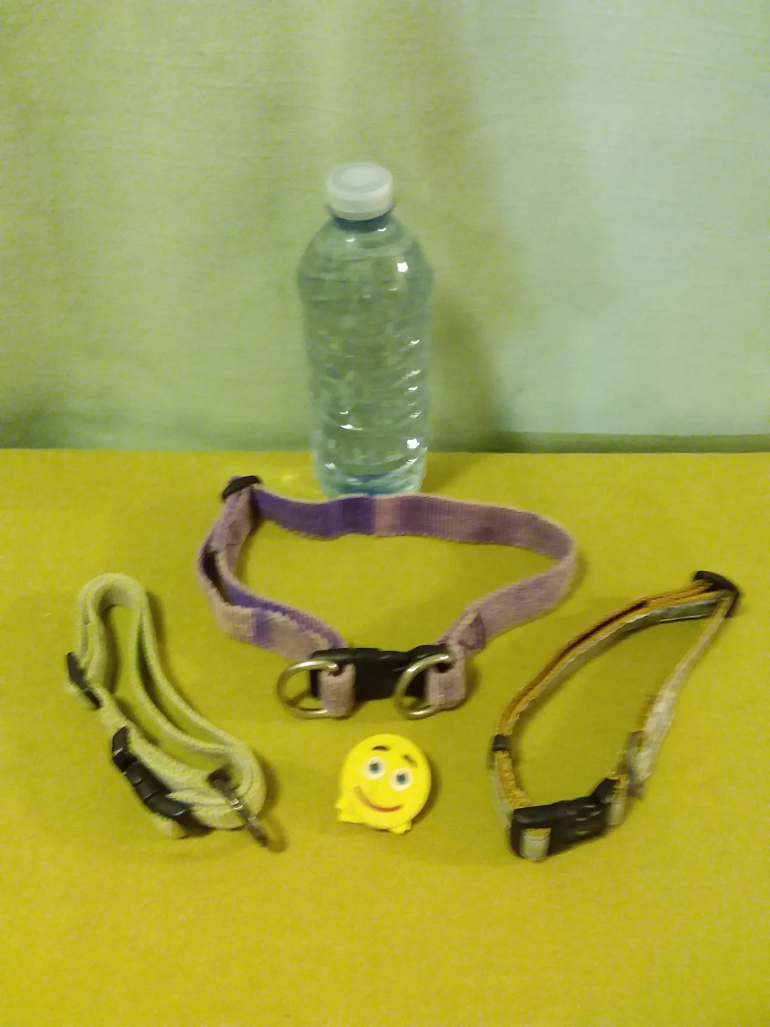 🏈  🐕 🆓 Assorted Dog Collars 🐕 Set of (3) 🆓