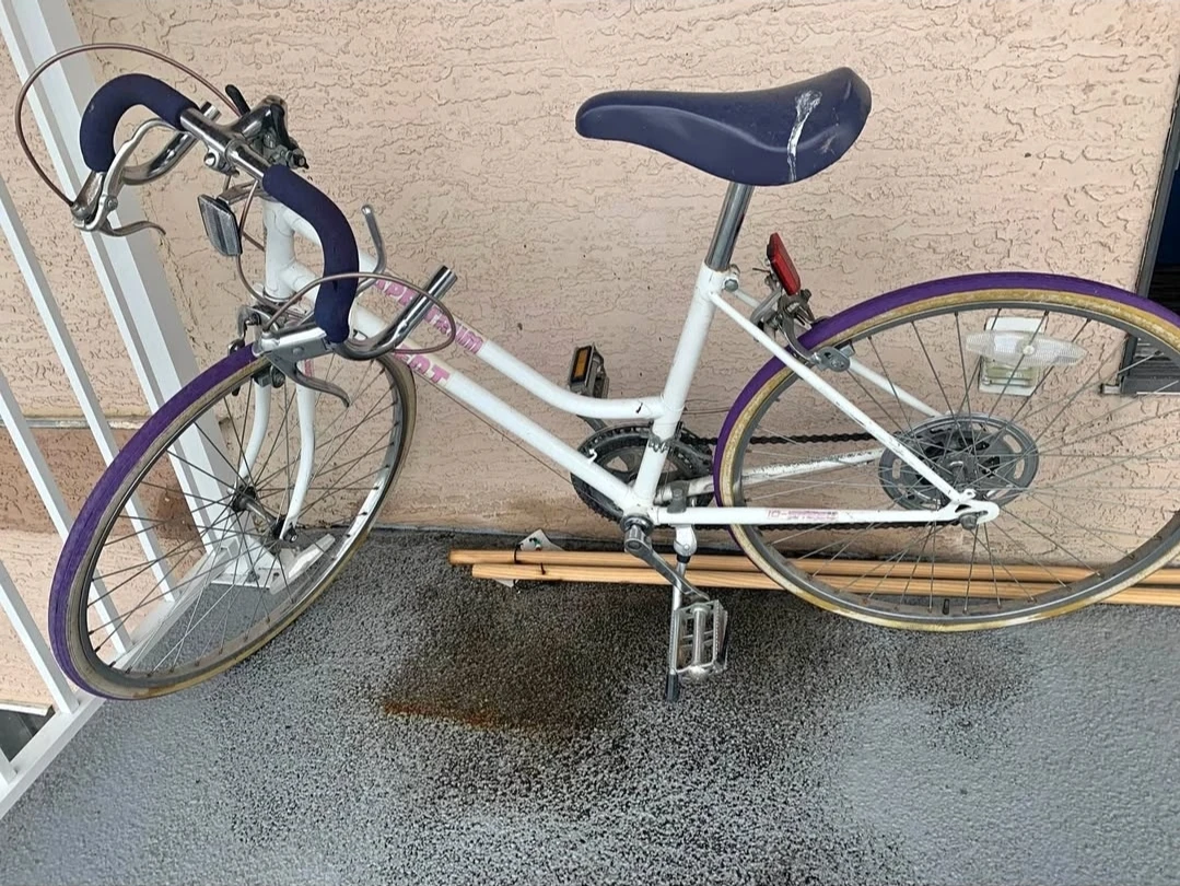 Racing Bike