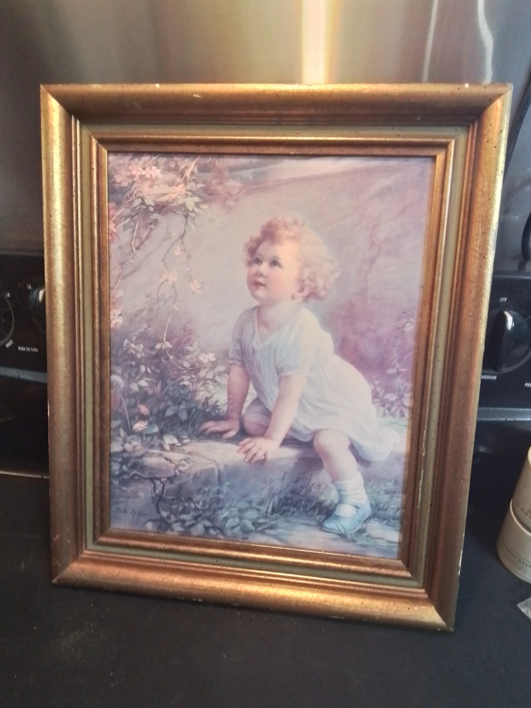 Zula Kenyon Home of the Bluebird Framed Print