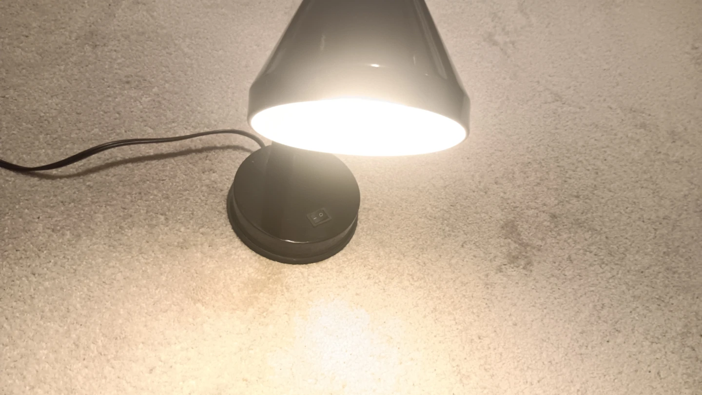 Adjustable Gooseneck Desk Lamp - photo 2