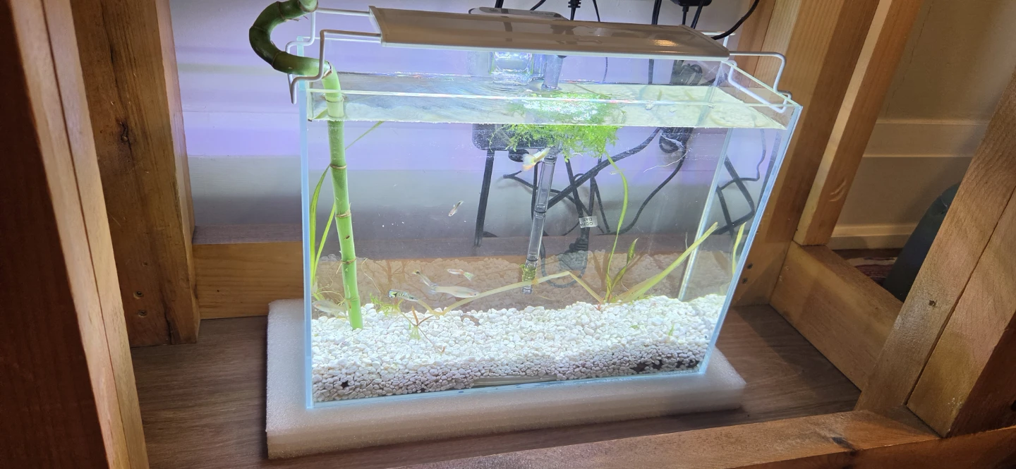 Glass Aquarium with Light and Filter