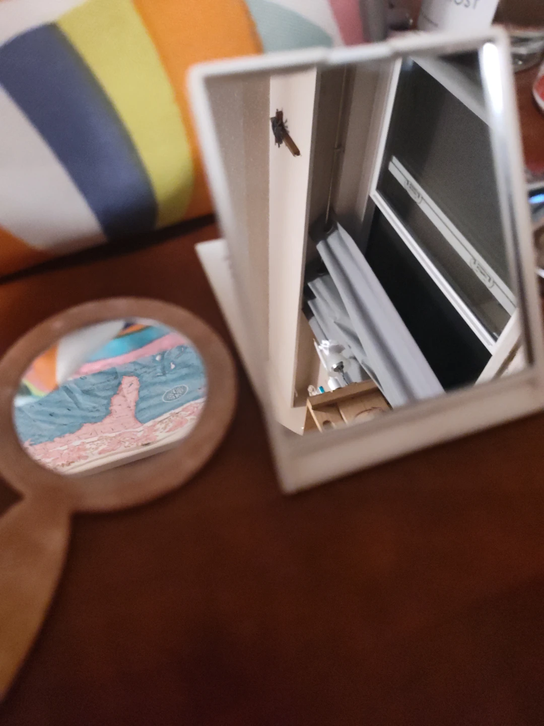 Two Small Cosmetic Mirrors