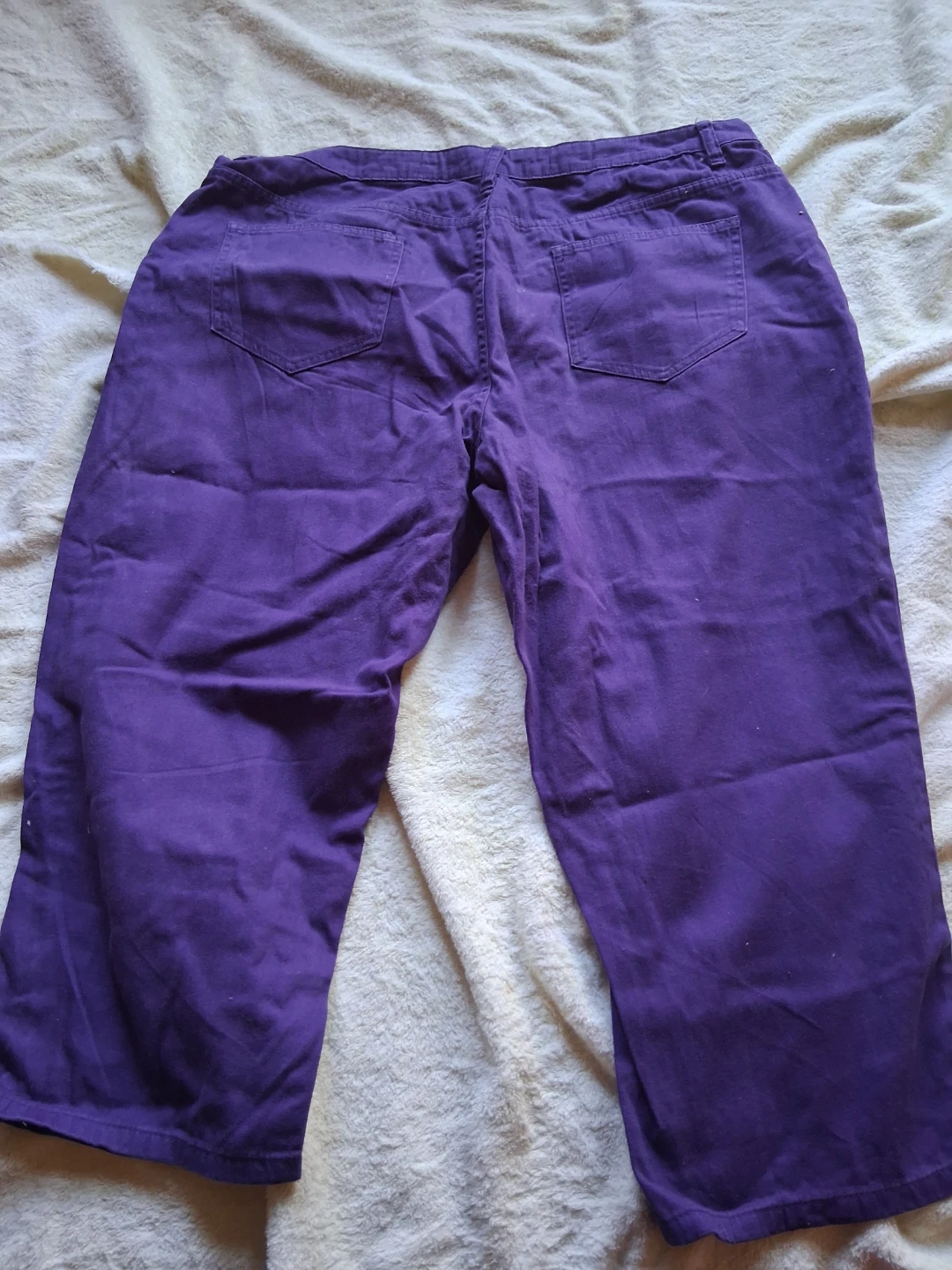 Ashley Stewart Purple Capris Size 18 - photo 2