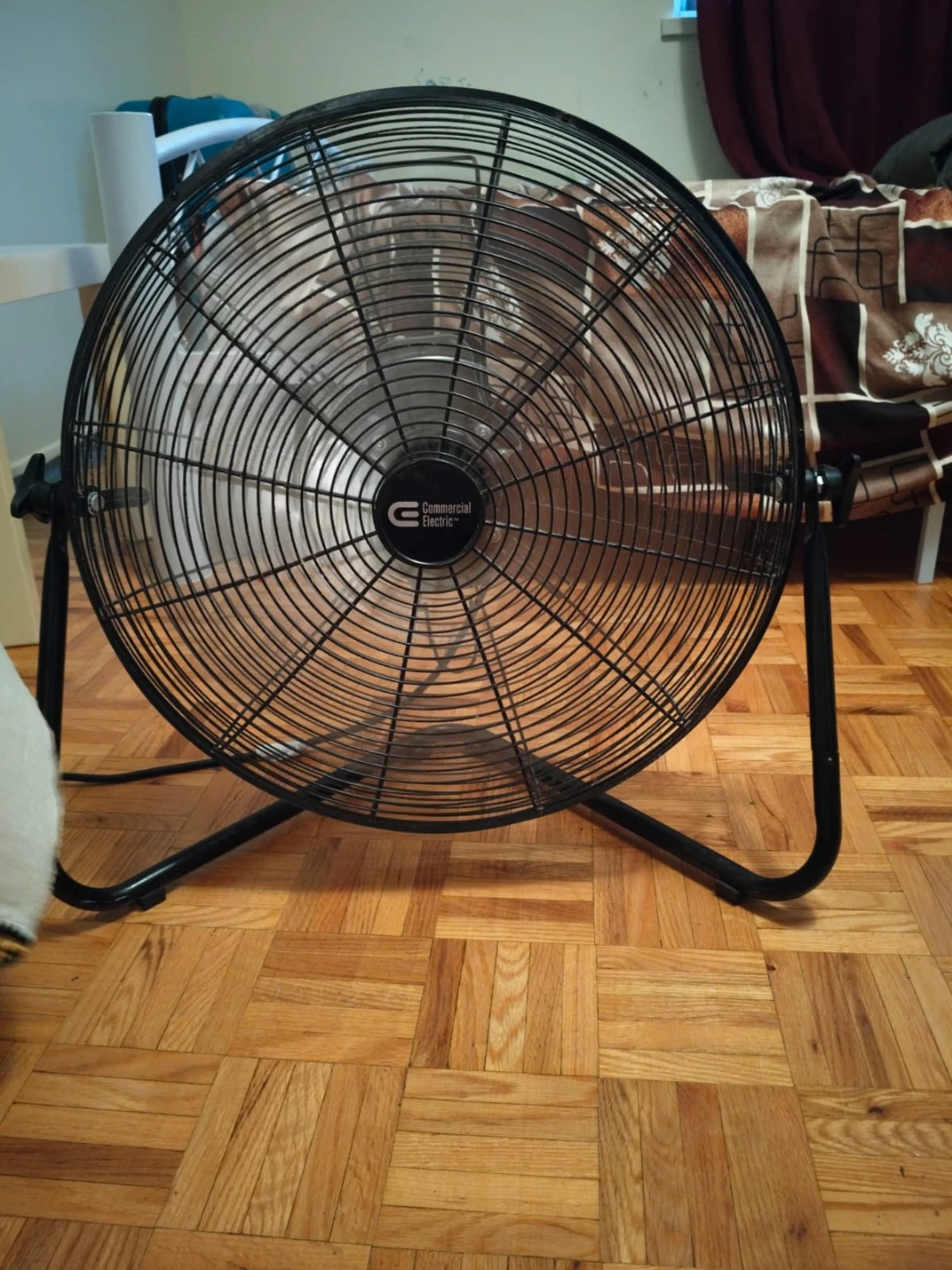 Fan