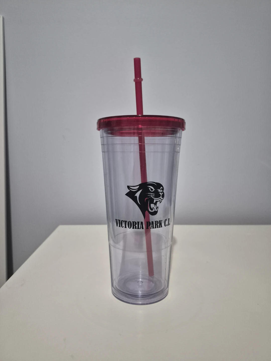 Reusable Cold Cup Tumbler with Straw