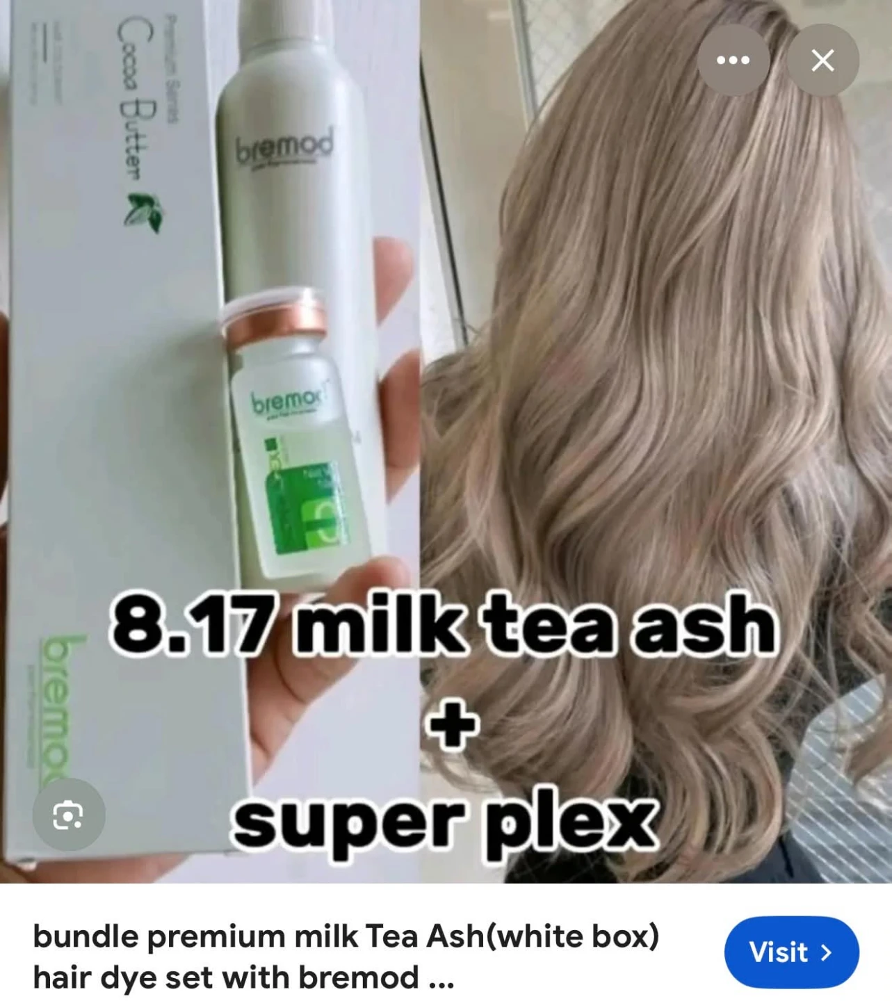 Bremod Premium Milk Tea Ash Hair Dye complete set Set