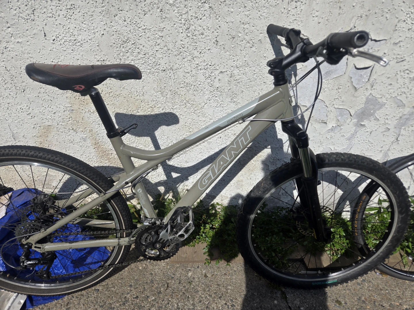 GIANT Mountain Bike