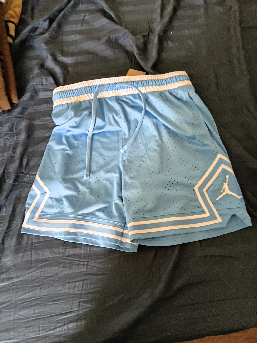 Air Jordan Mesh Shorts - Light Blue