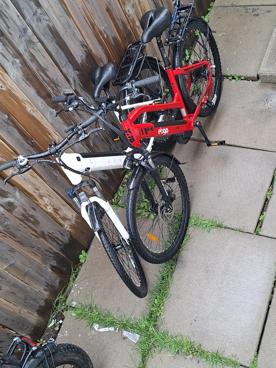 Ebgo Electric Bicycle - photo 2