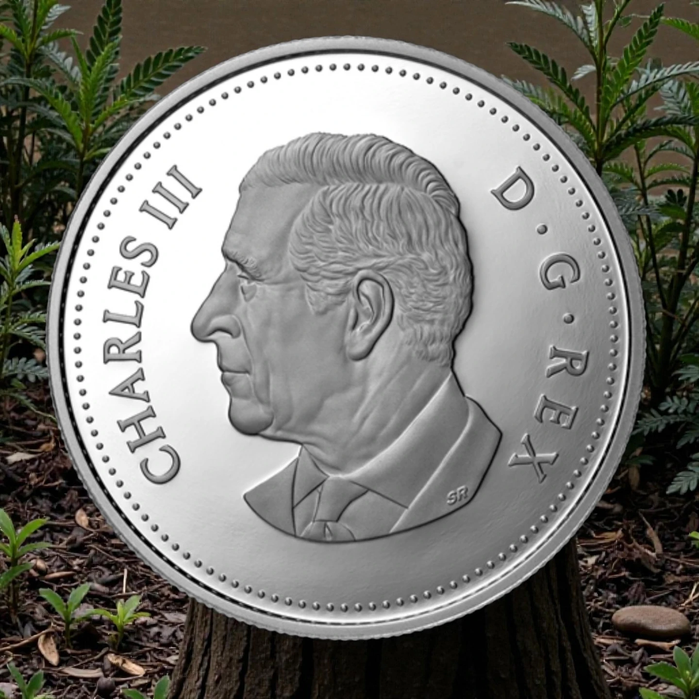 2025 Special Edition Proof Silver Dollar - photo 2