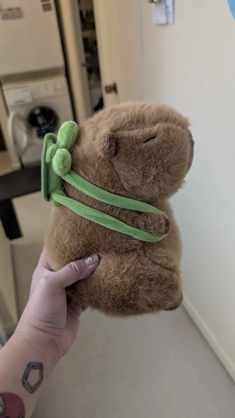 Capybara plush toy with turtle backpack - photo 2