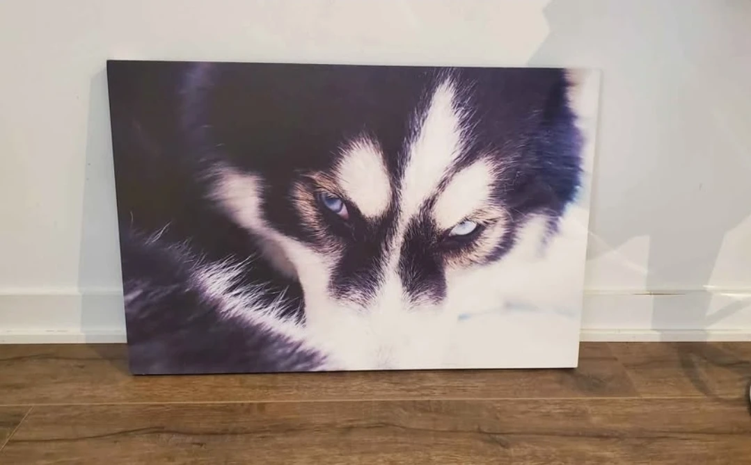 Like new Husky canvas