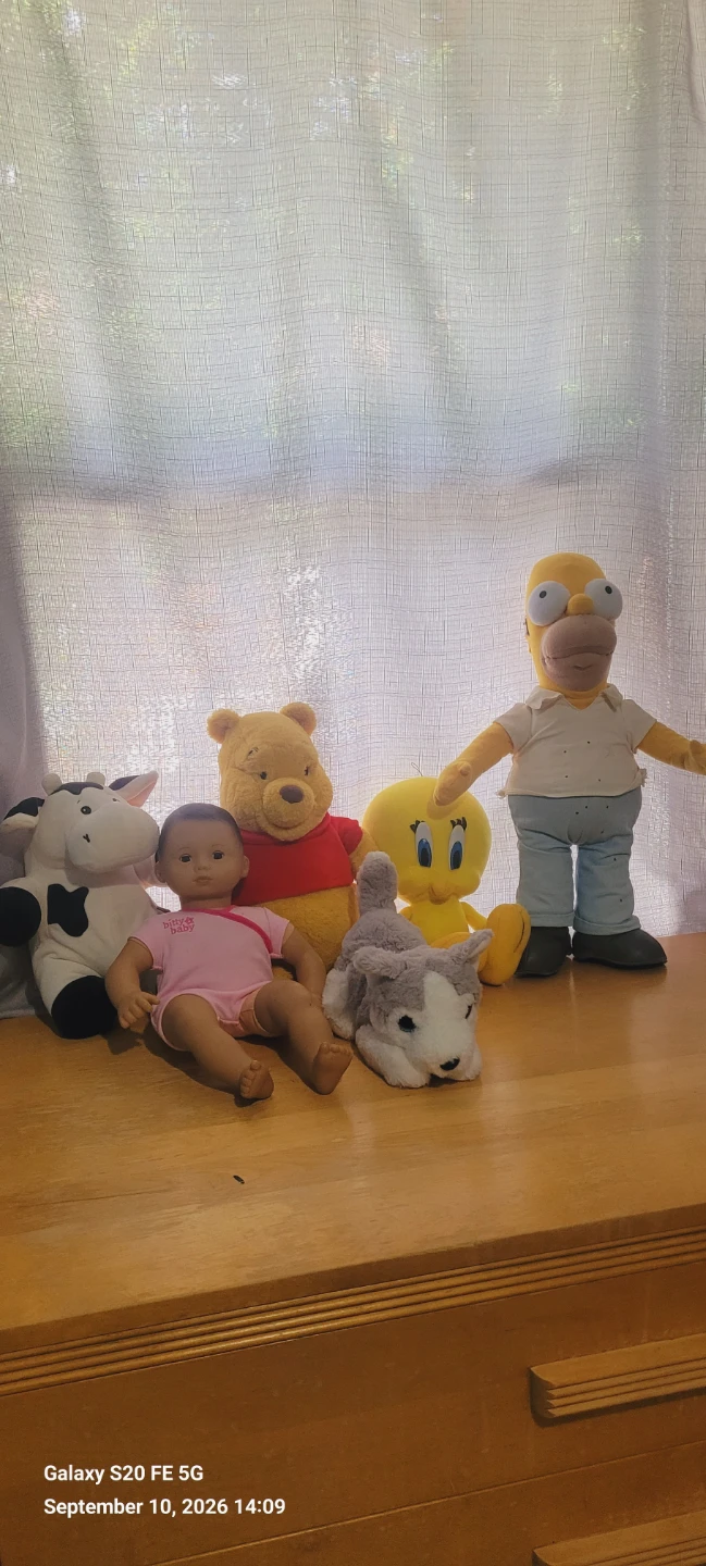 Assorted Children's Toys and Plushies Bundle