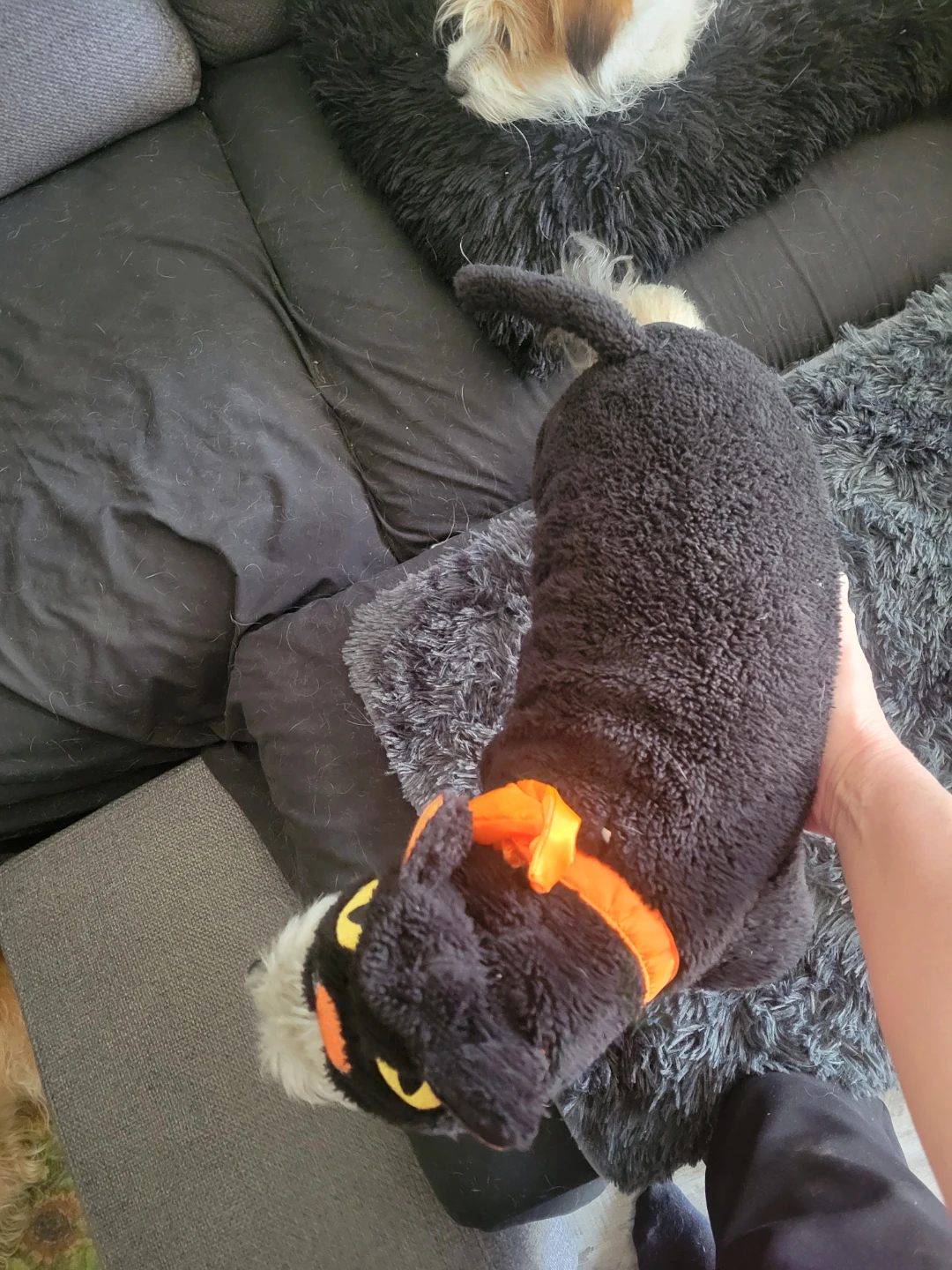 Pet Costume (Medium) - photo 3