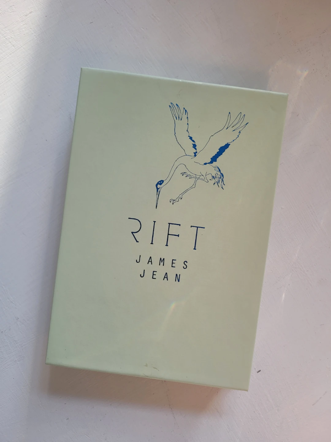 Rift by James Jean Accordion-Style Book - photo 3