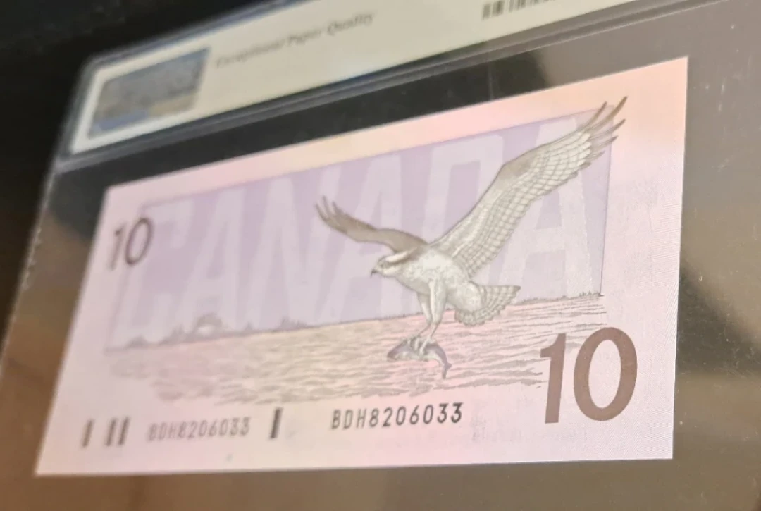 1989 $10 Canadian Banknote PMG 66 Gem Uncirculated - photo 5