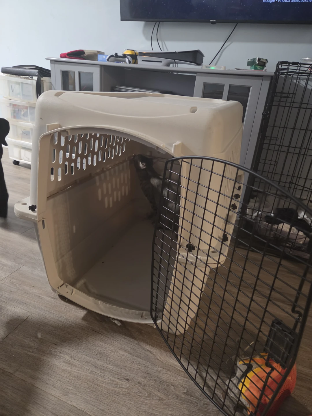 Large Plastic Pet Travel Crate
