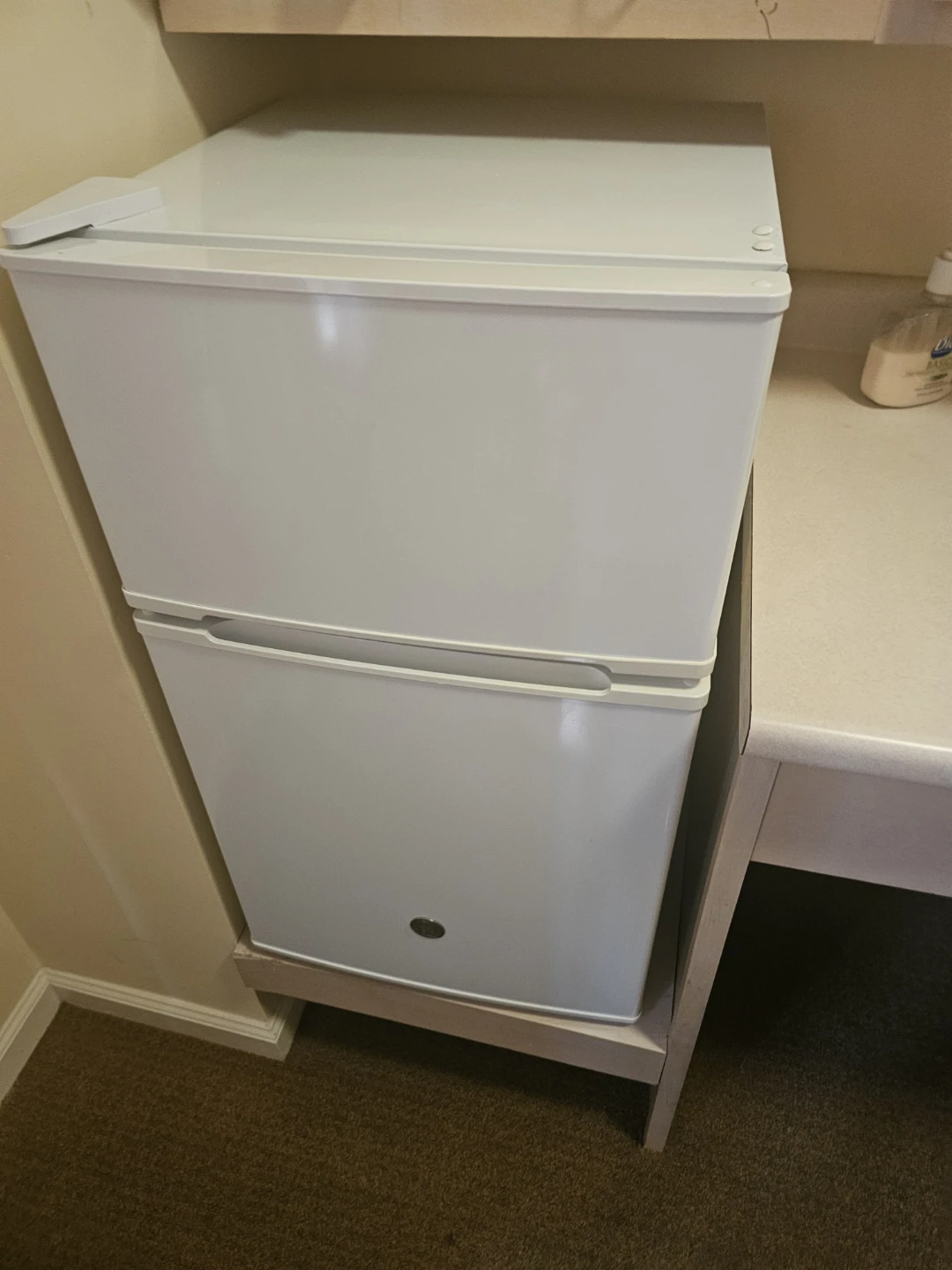 GE 3.1 cu. Ft Double Door Mini Fridge
