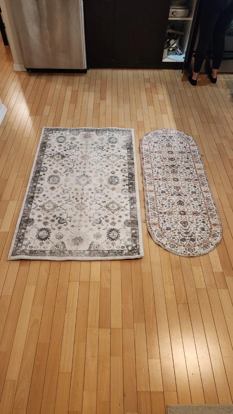 Two decorative area rugs