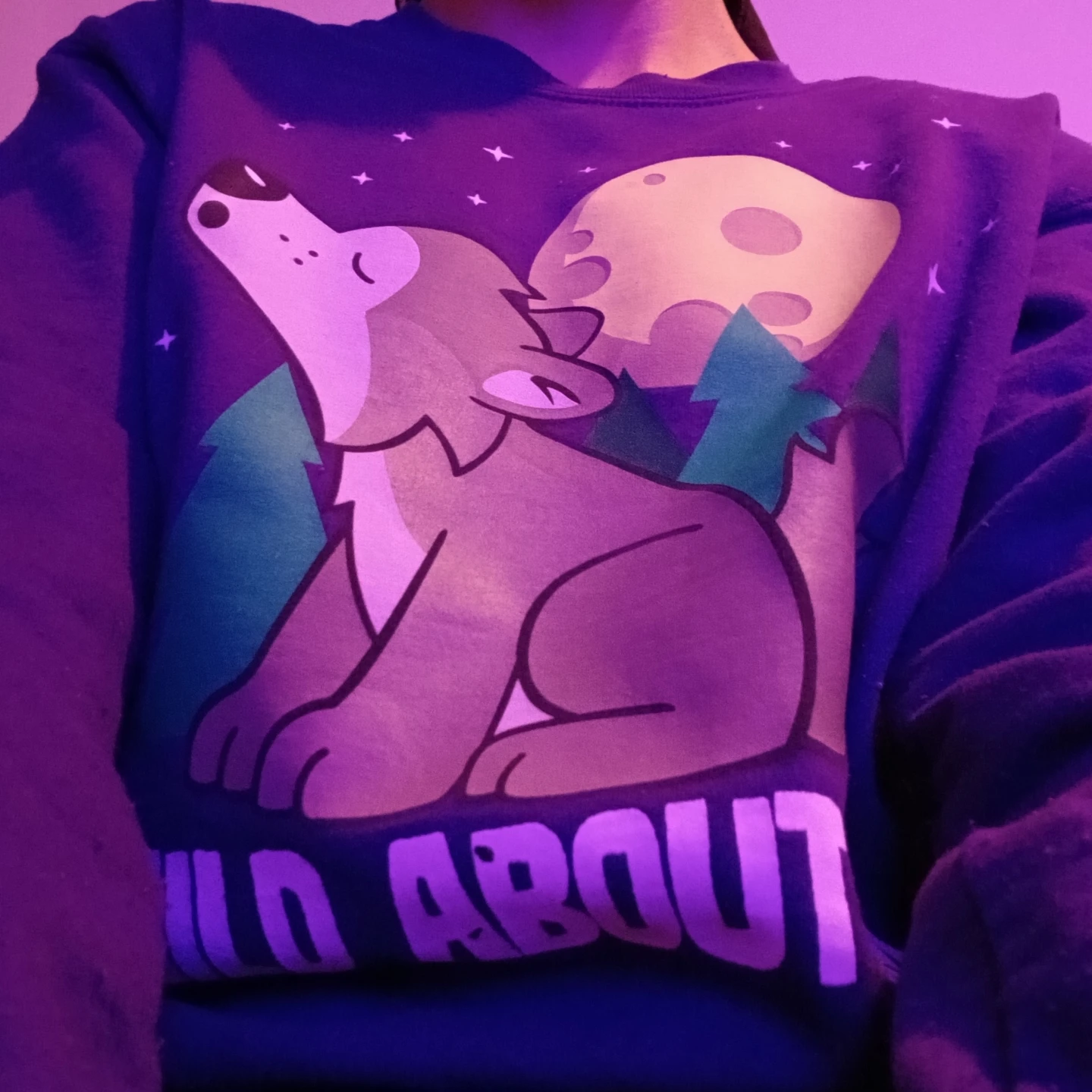 Wild About Him Graphic Sweatshirt