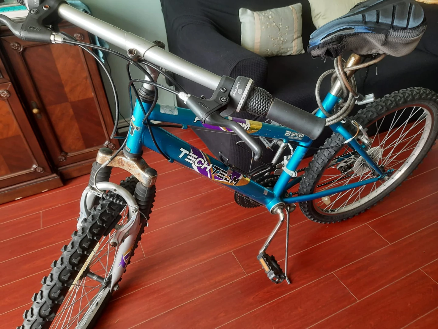 Tech Team Freedom Mountain Bike