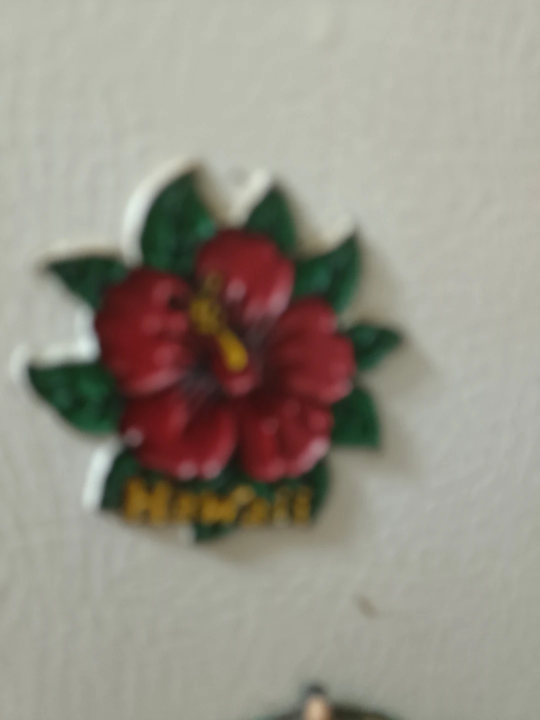 Hawaii Hibiscus Flower Magnet🏈