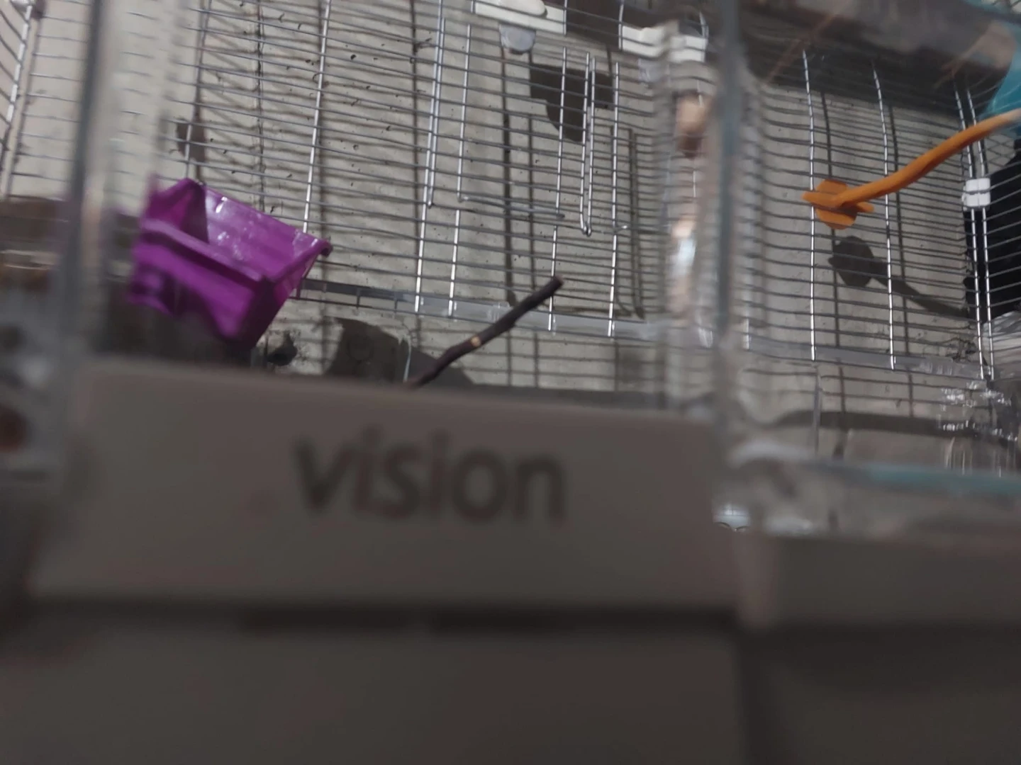 Vision Bird Cage - photo 2