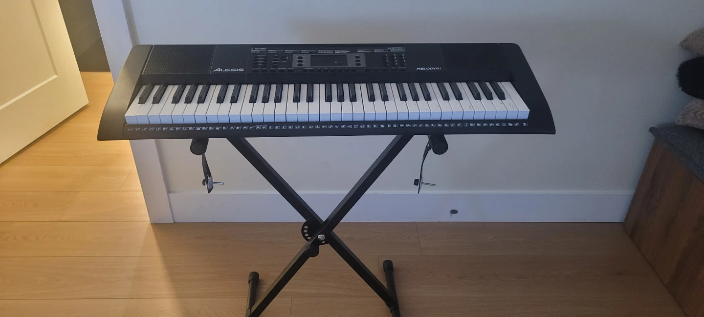 Alesis Melody 61 Keyboard with Stand