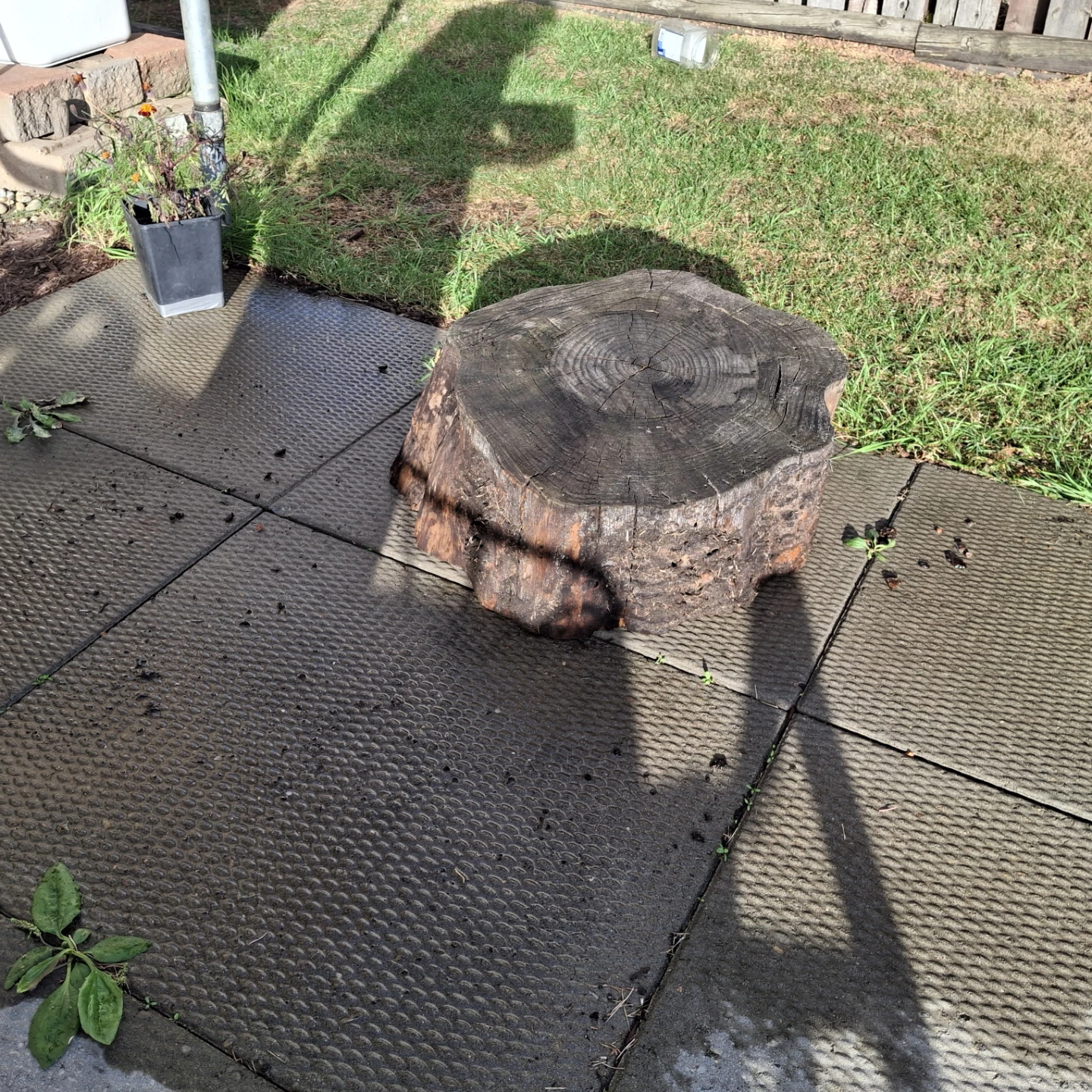 Natural Wood Tree Stump - photo 2