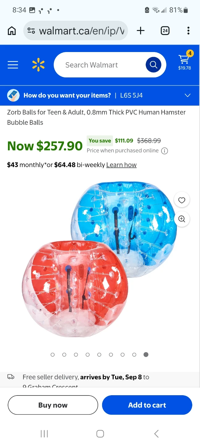 VEVOR Inflatable Human Bubble Balls - photo 3