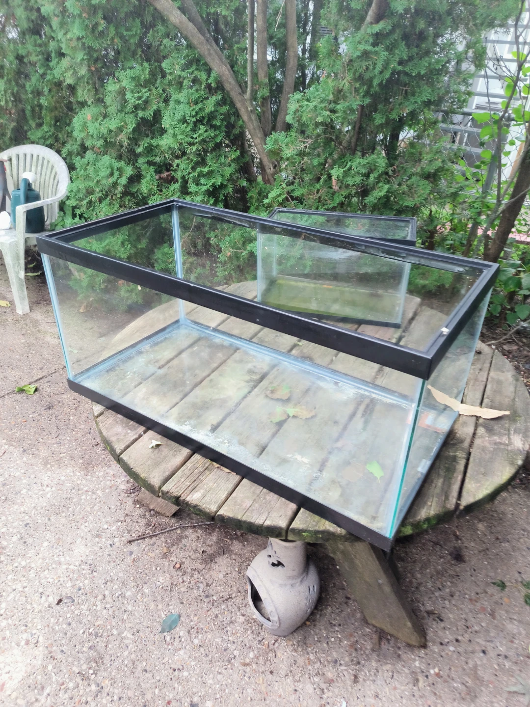 Aquarium used for Reptiles 45 or 50 Gallon Glass Aquarium